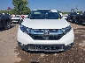 JHLRW2H86KX****** Destrozados 2019 Honda CR-V en Estado de Oklahoma