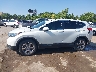 JHLRW2H86KX****** Reparables 2019 Honda CR-V en Estado de Oklahoma