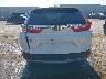 JHLRW2H86KX****** Destrozados 2019 Honda CR-V
