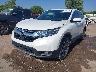 JHLRW2H86KX****** Usados y Reparables 2019 Honda CR-V en Oklahoma City
