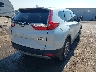 JHLRW2H86KX****** Salvamento y Destrozados 2019 Honda CR-V en Estado de Oklahoma