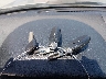 JNKCV51F55M****** Salvage 2005 Infiniti G35x in California State