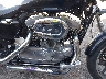 1HD4CR239CC****** Wrecked 2012 Harley-Davidson Sportster SuperLow in Rec Rides Online Exclusive