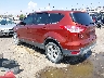 1FMCU0GX2EU****** Salvage and Repairable 2014 Ford Escape in Albuquerque