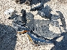 5YFEPMAE0NP****** Wrecked 2022 Toyota Corolla in Maryland State
