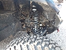 5Y4AN39YXMA****** Wrecked 2021 Yamaha YXE1000 in Rec Rides Online Exclusive