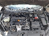 19XFC2F50GE****** Reparables 2016 Honda Civic en Lake City