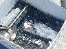 5YFBU4EE9DP****** Used and Repairable 2013 Toyota Corolla in Fremont