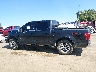 1FTEW1EF7FF****** Salvamento 2015 Ford F-150