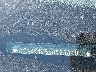 4T1BK1EB9GU****** Reparables 2016 Toyota Avalon