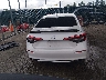 2HGFE1E55PH****** Destrozados 2023 Honda Civic SI