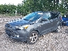1FMCU9GX1FU****** Used and Repairable 2015 Ford Escape in Indianapolis