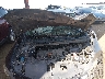 19XFB2F87DE****** Repairable 2013 Honda Civic in Phoenix