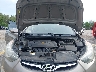 5NPDH4AE7DH****** Repairable 2013 Hyundai Elantra in West Palm Beach