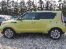 KNDJP3A56K7****** Salvamento 2019 Kia Soul