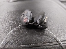 1GKKVTKD4FJ****** Salvamento 2015 GMC Acadia en Estado de Iowa