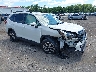 JF2SKADCXRH****** Salvage and Wrecked 2024 Subaru Forester in Rochester