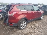 1FMCU9G97EU****** Salvage and Wrecked 2014 Ford Escape in Tennessee State