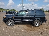 5FNYF18797B****** Salvamento 2007 Honda Pilot