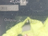 7SAYGDEDXSF****** Used 2025 Tesla Model Y in Florida State