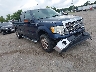 1FTEX1CMXDF****** Salvamento y Destrozados 2013 Ford F-150 en Richmond