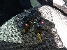 5NPEB4AC3DH****** Salvamento 2013 Hyundai Sonata en Estado de Maine