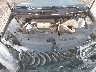 4T1BF1FK4HU****** Repairable 2017 Toyota Camry in Oklahoma City