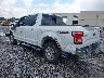 1FTEW1EG1GF****** Salvamento y Reparables 2016 Ford F-150 en Tifton