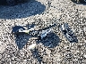 3GNCJKSB4KL****** Wrecked 2019 Chevrolet Trax in Pennsylvania State