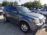 1FMCU0D71AK****** Salvamento y Destrozados 2010 Ford Escape en Saint Louis