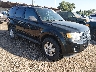 1FMCU0D75BK****** Salvage and Wrecked 2011 Ford Escape in Columbus