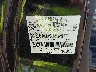 1FMCU0D75BK****** Used 2011 Ford Escape in Columbus