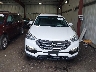 5NMZUDLB4HH****** Destrozados 2017 Hyundai Santa Fe en Estado de Virginia