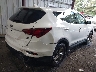 5NMZUDLB4HH****** Salvamento y Destrozados 2017 Hyundai Santa Fe en Estado de Virginia