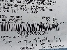 2MEHM75V09X****** Used 2009 Mercury Grand Marquis in Northern Virginia