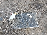 1GNSCHKCXLR****** Destrozados 2020 Chevrolet Suburban en Estado de Mississippi