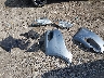 1C3CDFBA5DD****** Destrozados 2013 Dodge Dart en Estado de Arkansas
