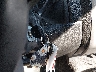 1GCCS13E878****** Salvamento 2007 Chevrolet Colorado en Estado de Ohio