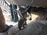 2GCEK19T431****** Salvage 2003 Chevrolet Silverado 1500 in North Carolina State