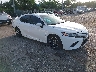 4T1G11AK3LU****** Salvamento y Destrozados 2020 Toyota Camry en West Palm Beach