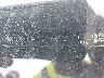 5YFS4MCE3RP****** Repairable 2024 Toyota Corolla