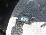 KNMAT2MT4FP****** Salvamento 2015 Nissan Rogue en Estado de Ohio
