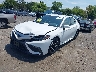 4T1G31AKXPU****** Usados y Reparables 2023 Toyota Camry en Culpeper
