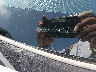 4T4BF1FK5DR****** Usados 2013 Toyota Camry en Los Angeles