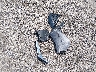 5TDKZRFH7JS****** Destrozados 2018 Toyota Highlander en Estado de Carolina del Sur