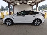 7SAYGDEE8PF****** Repairable 2023 Tesla Model Y in Washington State