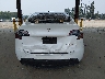 7SAYGDEE8PF****** Wrecked 2023 Tesla Model Y