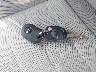 1FMCU0GX2EU****** Salvage 2014 Ford Escape in California State