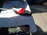 1FMCU9J9XFU****** Salvage 2015 Ford Escape in California State