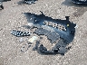 JN8AS5MV6FW****** Wrecked 2015 Nissan Rogue in Minnesota State